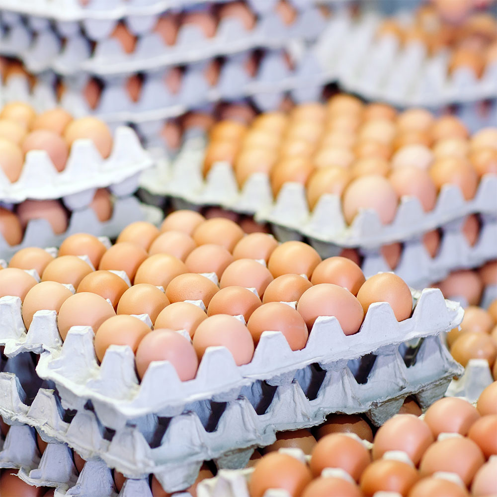 Green Hill Food Trading Stuff